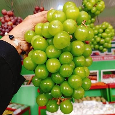 Anggur Shine Muscat Hijau